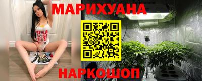 прущие крисы Будённовск