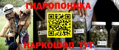 прущие крисы Будённовск