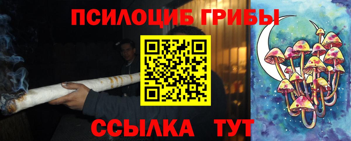 Лобня  Галлюциногенные грибы Cubensis  Галлюциногенные грибы Psilocybine cubensis  Вход с VPN 
