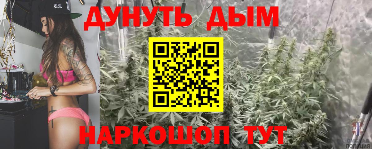 Канабис Ganja  Вход с VPN  Лобня  Конопля сатива  Бошки марихуана конопля 